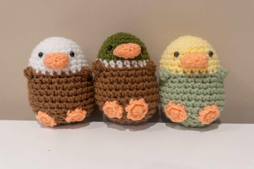 Mini Silly Bird - Customizable Handmade Crochet Amigurumi Bird