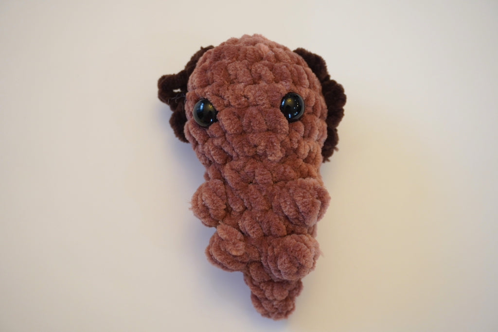 Mini Axolotl - Custom Handmade Crochet Plushies
