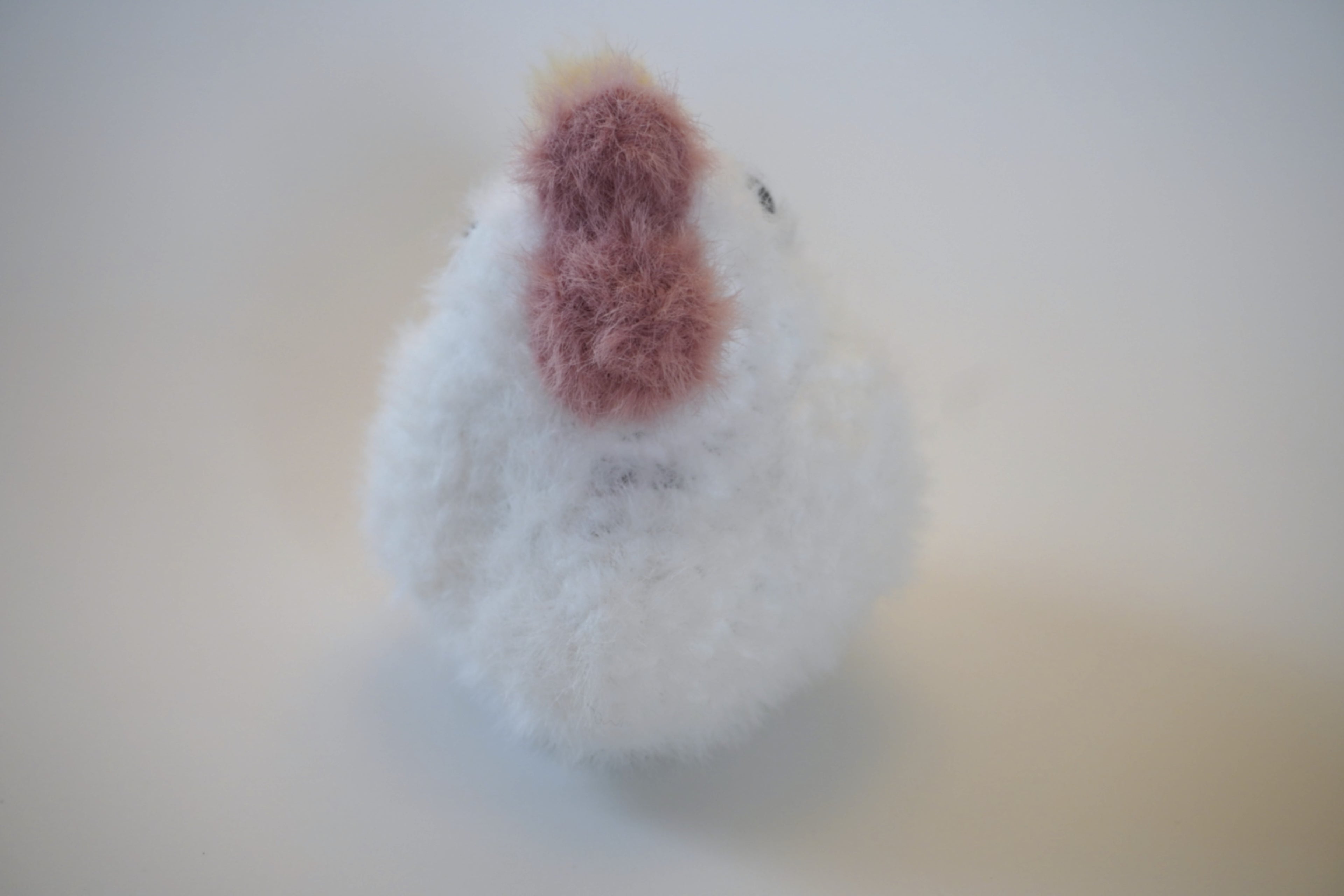 Fuzzy Chicken