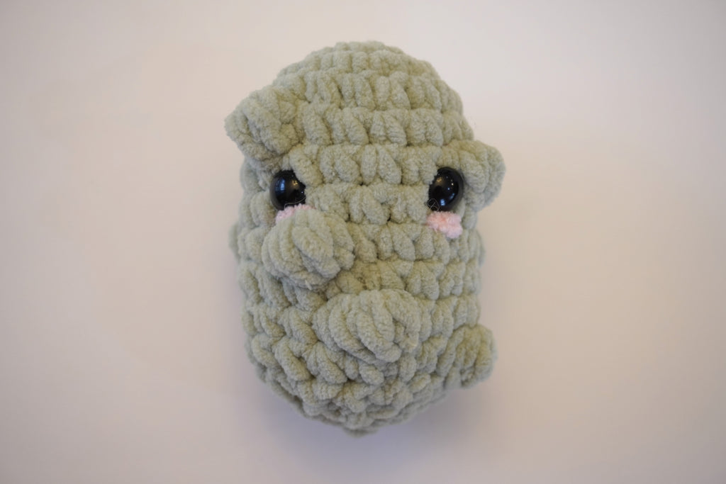 Mini Pickle - Handmade Crochet Plushie