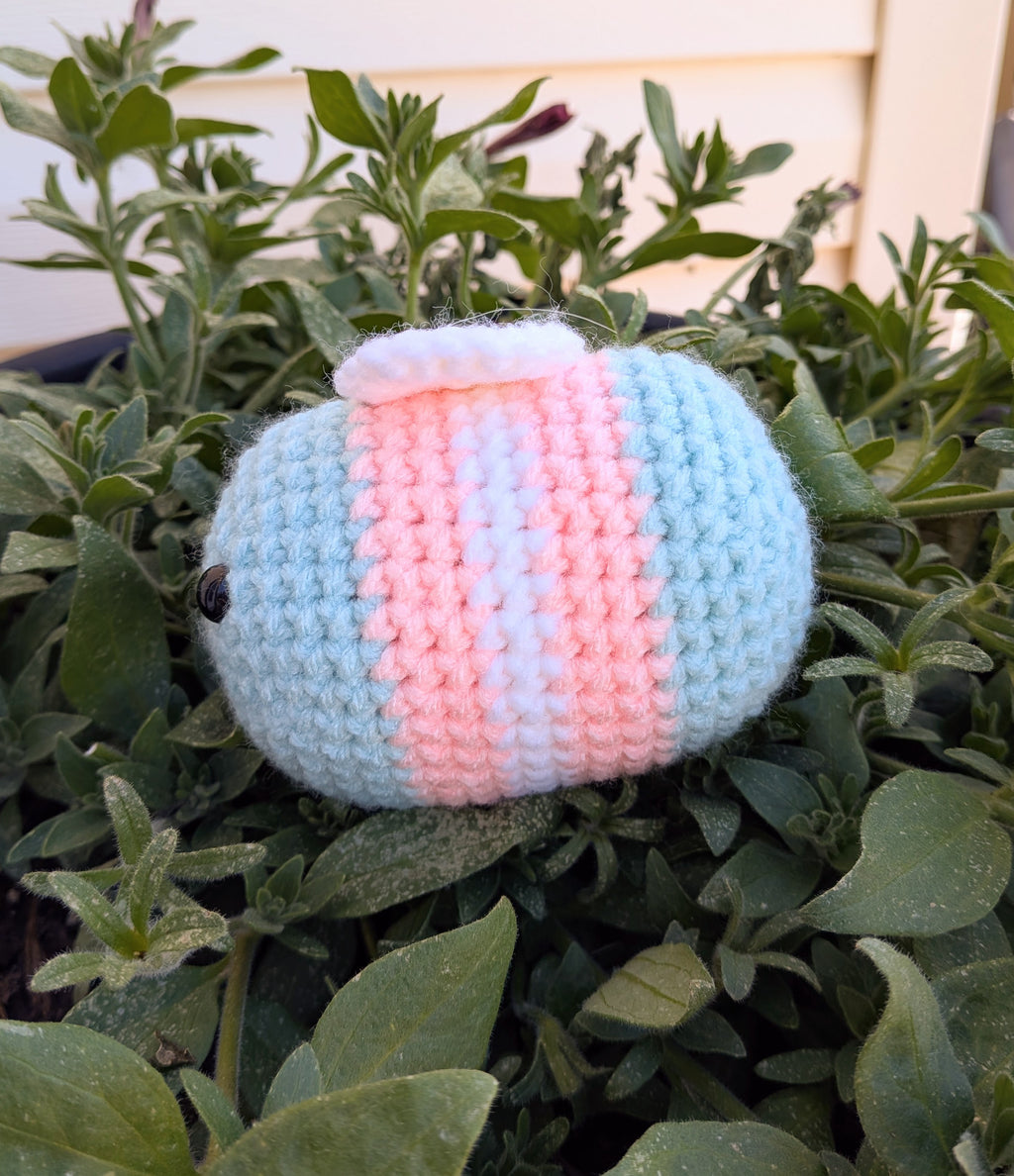 Holiday Bee - Pride Collection - Trans Pride