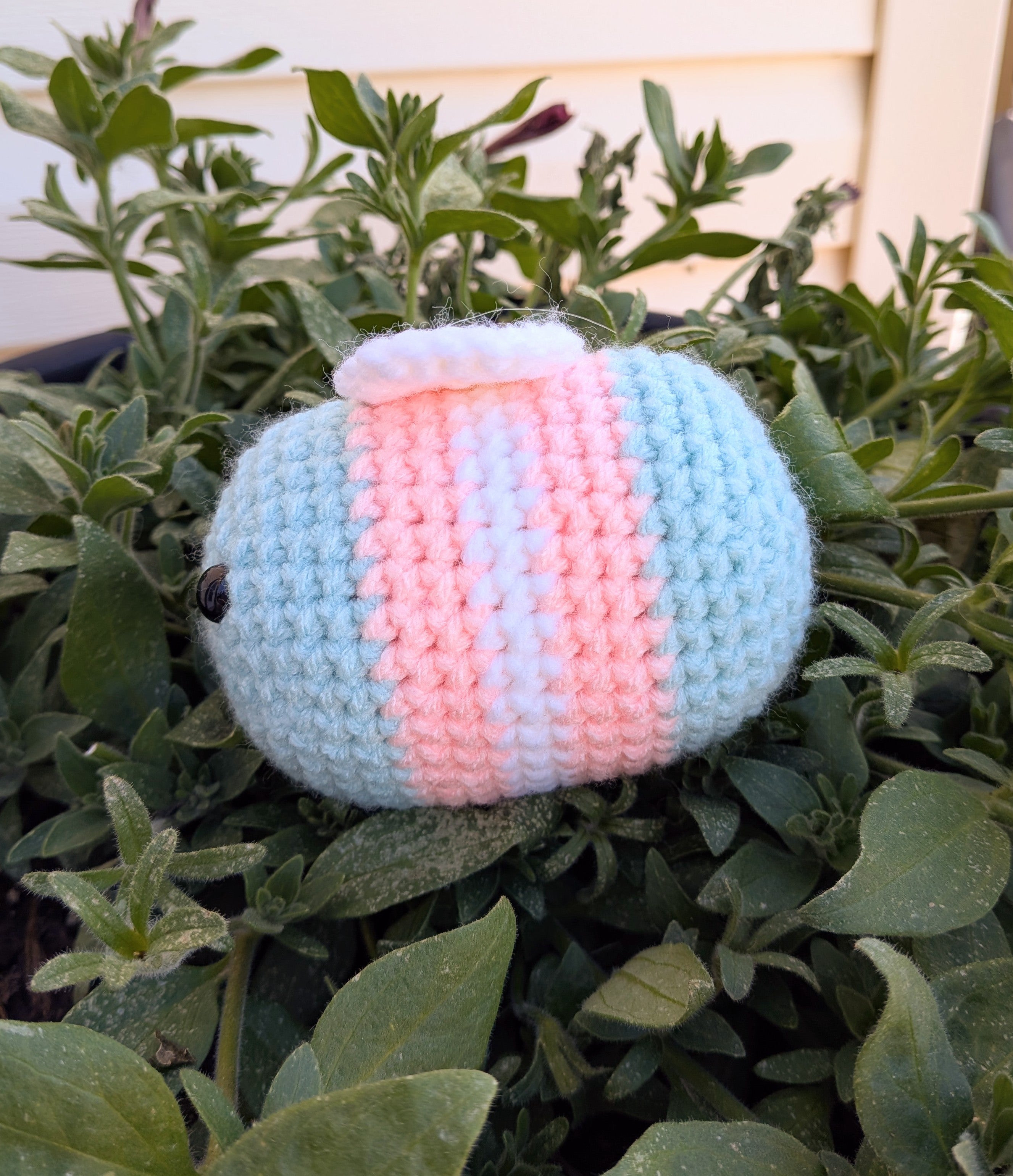 Holiday Bee - Pride Collection - Trans Pride